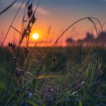 دانلود آهنگ آنچه کردی با دل من؛ قصه سنگ و سبو بود…